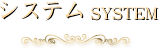 システム