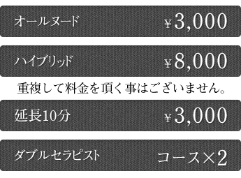 オプション料金表